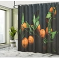 thumbnail image 4 of Ambesonne Dark Orange Shower Curtain, Leafy Branches Mandarin, 69"Wx70"L, Dark Green Charcoal Grey, 4 of 4