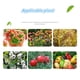 thumbnail image 3 of 80g Thiophanate Methyl Fungicide Prevention And Cure Various Diseases Of Vegetables, Fruits And Flowers Home Garden, 3 of 3