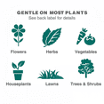 thumbnail image 6 of Insect Killing Soap Concentrate for Plants Kills Aphids Whiteflies Thrips Spider Mites OMRI Listed for Organic Use Style 1 Pack, 6 of 6