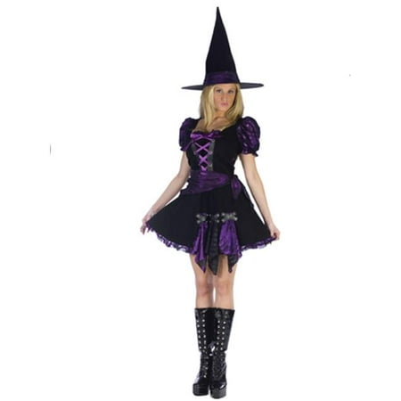 Costumes For All Occasions FW120034ML Witch Purple Punk Adlt Medium Large