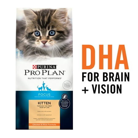 Purina Pro Plan High Protein Dry Kitten Food, FOCUS Chicken & Rice Formula, 16 lb. Bag