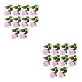 thumbnail image 4 of Flores Artificiales Toystoory 10 piezas para decoración de bodas Núcleo de polvo 2Conjunto, 4 of 6