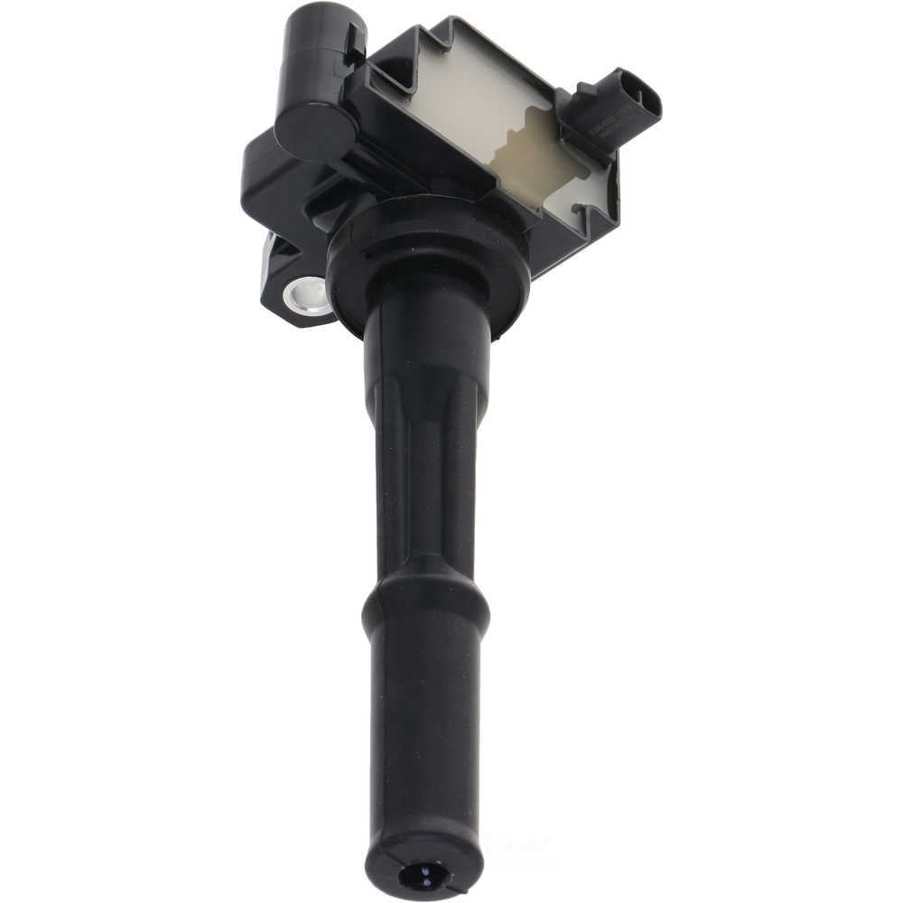 HOLSTEIN 2IGC0171 Ignition Coil