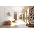 thumbnail image 6 of Access Lighting LED Flush Mount in Brushed Steel Color, 6 of 6