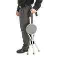 thumbnail image 4 of Travelon Walking Seat and Cane in One, Grey, One Size, 4 of 4