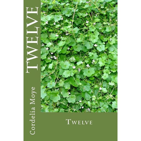 Twelve: Twelve (Paperback)
