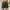 Green, variant on Blue Jean Shorts Women Clearance Mid Rise Ripped Stretch Denim Shorts Casual Trendy Raw Hem Jean Shorts Deals with Pockets,Green,XXL