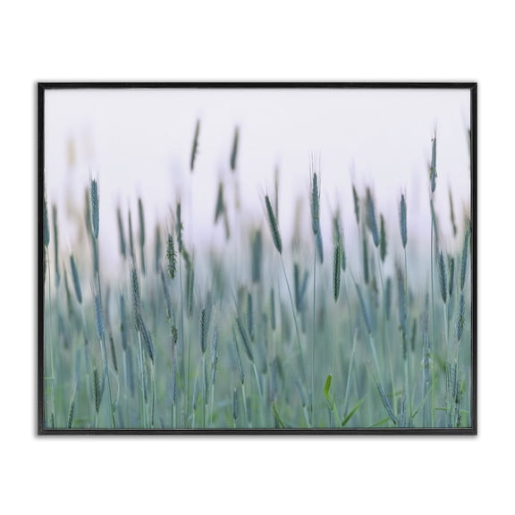 Stupell Industries Rustic Lodge Green Wheat Field Sprigs Black Framed Giclee Art, 14 x 11, by Nancy Crowell