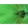 thumbnail image 1 of Ahgly Company Indoor Rectangle Patterned Green Area Rugs, 5' x 8', 1 of 6