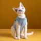 thumbnail image 4 of Traje de recuperación para mascotas con cinta de sujeción ajustable, duradero, cómodo, elástico, ropa de esterilización para gatos y perros, amarillo, S, 4 of 5