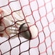 thumbnail image 3 of Toystoory Red de bádminton, voleibol, deporte al aire libre, tenis, equipo de red portátil, entretenimiento profesional para principiantes en Type2 NO2, 3 of 6
