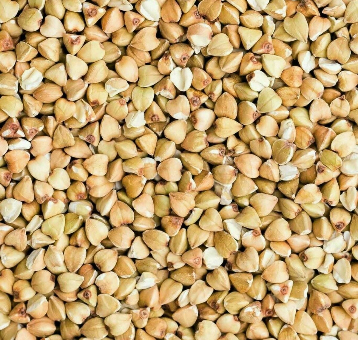 Organic Buckwheat Groats 5 LB