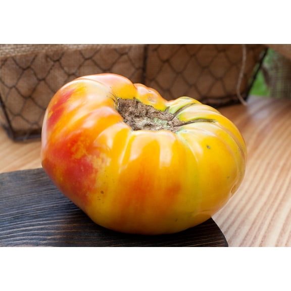 Hawaiian Pineapple Heirloom Tomato Premium Seeds Packet