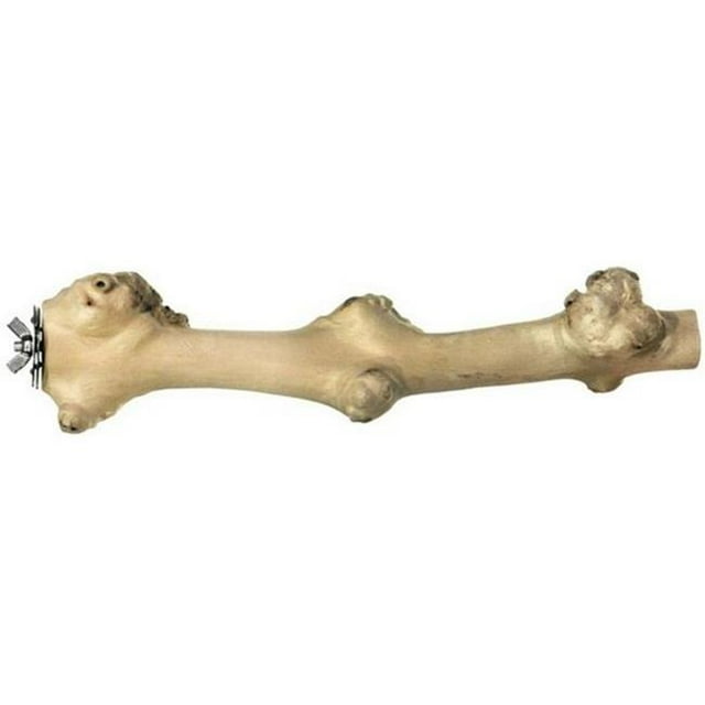 Prevu 480320 18 in. Natural Coffea Bird Perch, Large