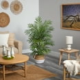 thumbnail image 4 of Boho Chic 4" Artificial Areca in Natural Jute Planter, by Nearly Natural, 4 of 4