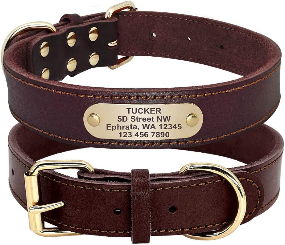 Genuine Cowhide Leather Pet Collar Alloy Neck Buckle Belt for Dogs & Cats 