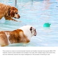 thumbnail image 3 of Juguete Eléctrico A Prueba De Agua Para Perros Con Rociador De Agua Maravilloso Juguete Eléctrico De Flotabilidad Juguete De Natación Multifuncional Baño Eléctrico Para Mascotas Bola De Agua matsuzay HA025145-03, 3 of 4