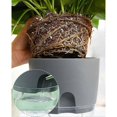 thumbnail image 4 of Spice Pot Kitchen Set Window Sill Self-Watering Set of 3 Spice Garden for the Kitchen, 18.2x 11x 15.3 Cm, for Fresh Herbs, Gray, 4 of 5