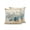Blue Brown, variant on 1 Pack Outdoor Throw Pillow, Starfish Coastal Waterproof Pillow with Insert Included, Summer Ocean Blue Coral Conch Seagrass Decorative Accent Cushion Sofa Pillows for Patio Porch, 16 x 16 In