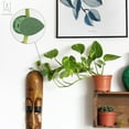 thumbnail image 4 of Gustave 100Pcs Plant Climbing Wall Fixture Clips Set Self-Adhesive Hook Vines Traction Invisible Holder Plant Fixer Green Leaf Simulation Garden Wall Clip, 4 of 10