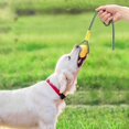 thumbnail image 6 of Rubber Dog Rope Toy, Interactive Tug Chew Toy for Teething Puppies, Durable Training Toy for Small Medium Large Dogs, Yellow, 6 of 8