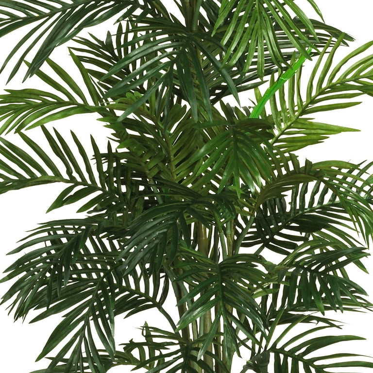 indoor self watering planter Self-Watering Spruce Planter (21