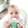 thumbnail image 7 of Dr. Brown's Milestones 100% Silicone Baby Bottle Handles, Narrow, Green, 1 Pack, 7 of 7