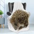 thumbnail image 4 of Hedgehog Soft Flannel Fleece Throw Blanket, Small Mammal with Spiked Hair on Its Back and Sides Wildlife Photography, Cozy Plush for Indoor and Outdoor Use, 50" x 70", Cocoa Brown, by Ambesonne, 4 of 5
