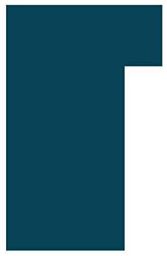 WaterWarden Inground Pool Safety Cover Fits 18’ x 36’, Right Step, UL Classified to ASTM F1346