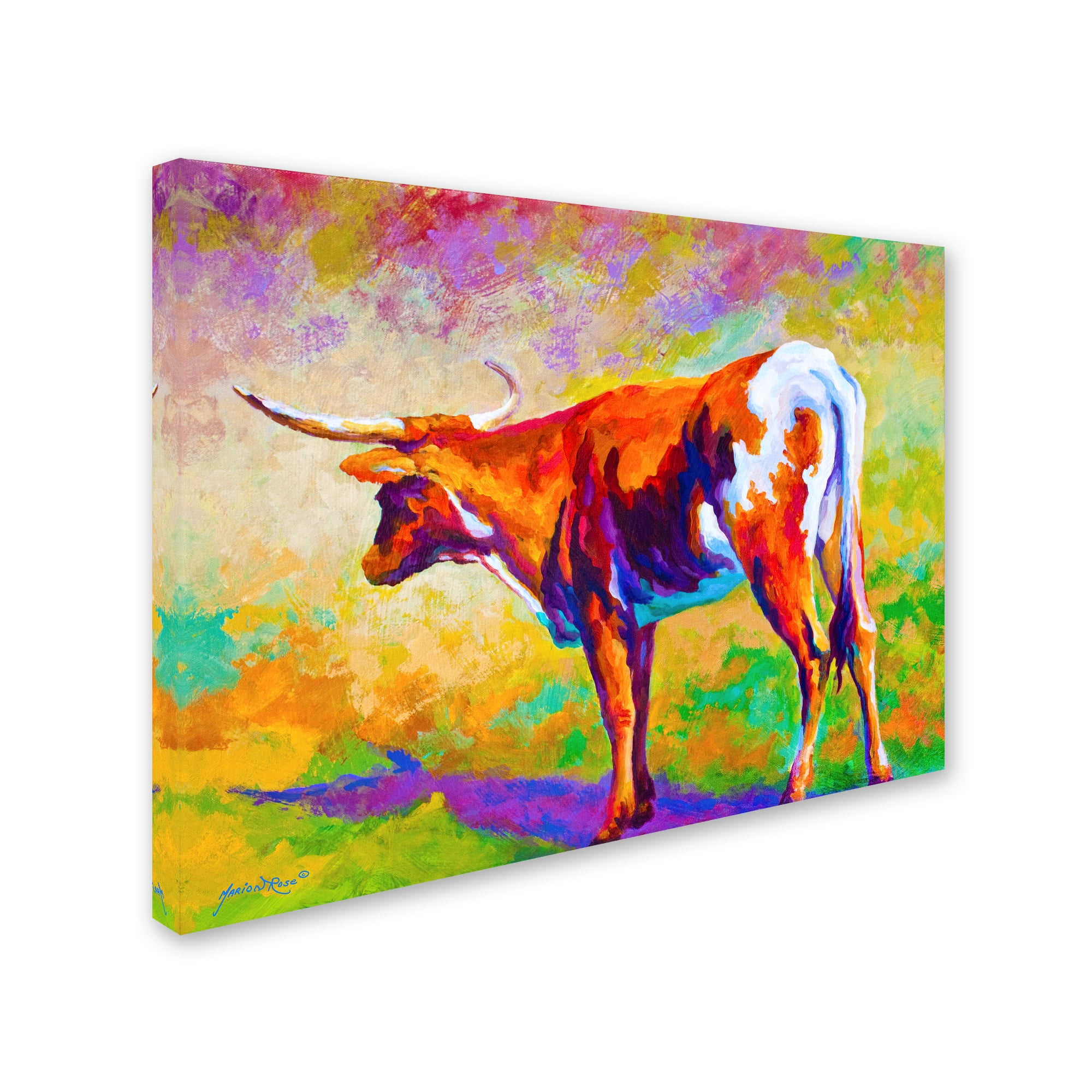 Trademark Fine Art 'Longhorn' Canvas Art by Marion Rose