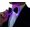 Adult, variant on LED Bow Tie- Adjustable Glowing Bow Tie for Parties, Weddings & Prom - light up tie