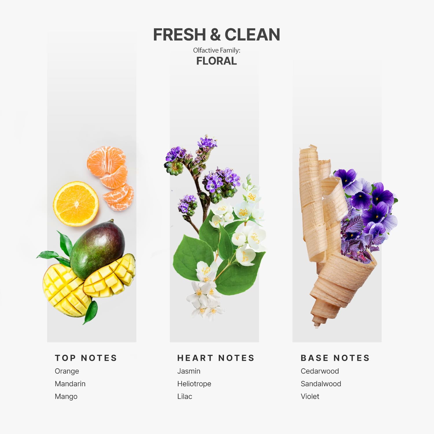 AromaPlan Fresh & Clean Essential Oil, 5 fl oz (148 mL) - Diffuser Oil, USA Made