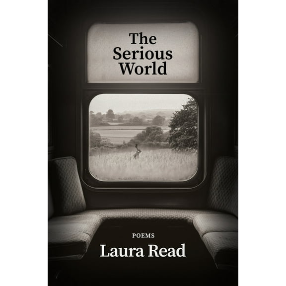 The Serious World, (Paperback)