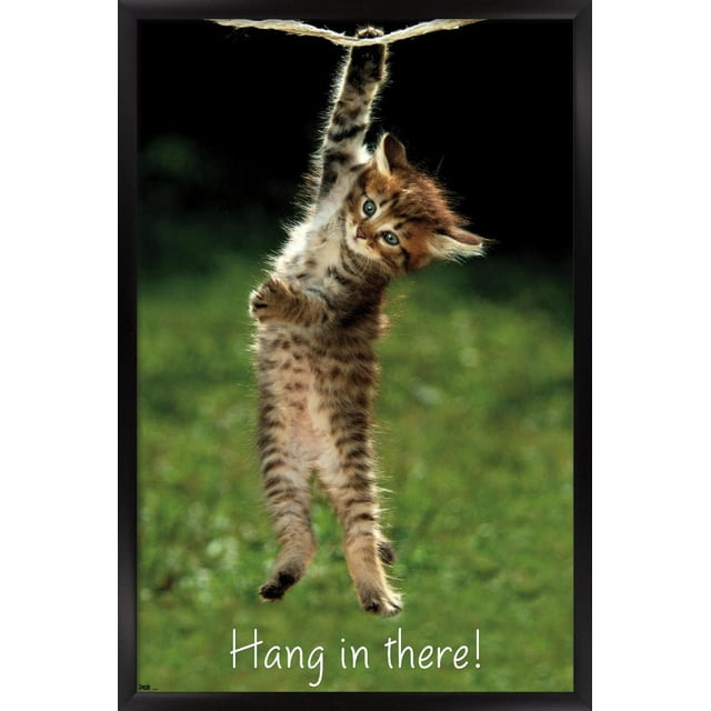 Célèbre chaton accroché là-bas Poster