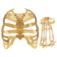 thumbnail image 4 of Accesorios para disfraces de Halloween, pulsera de terror realista, versátil y espeluznante para fiestas., 4 of 8