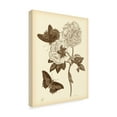 thumbnail image 2 of Trademark Fine Art 'Nature Study in Sepia IV' Canvas Art by Maria S. Merian, 2 of 4