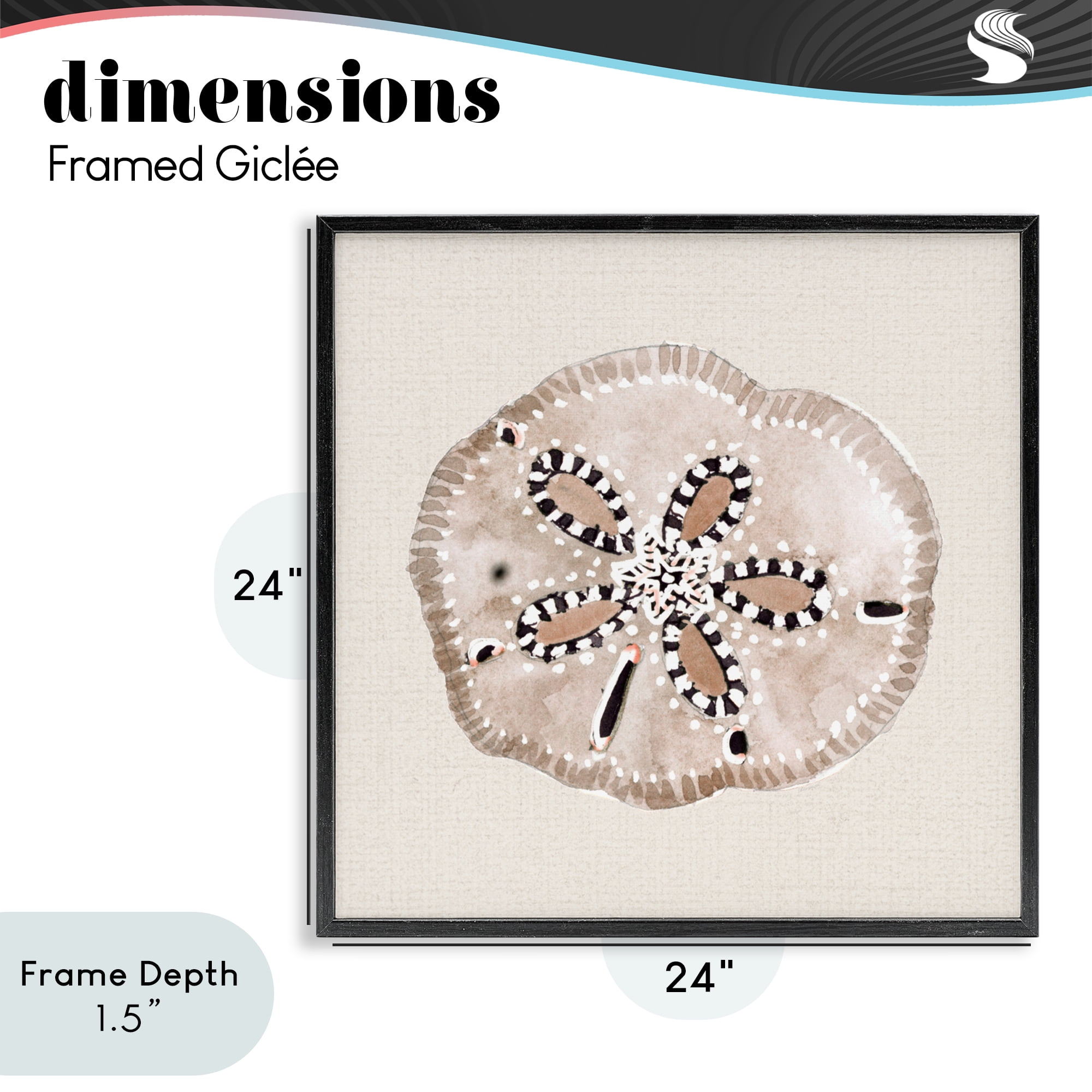 Stupell Industries Taupe & Beige Sand Dollar Black Framed Giclee Art, design by Lanie Loreth