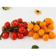 thumbnail image 3 of 2-Pack Artificial Cherry Tomatoes Real looking Manmade Fruit, 3 of 10