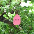 thumbnail image 2 of Label 5 x 3.5cm Water Resistant for Garden, Shop, House Pink 100 Pack, 2 of 5
