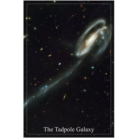 The Tadpole Galaxy Hubble Space Telescope Image Poster