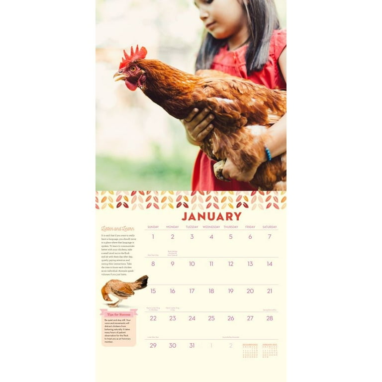 2025 Wall Calendar Chickens Eggs Charo DeeDee