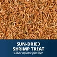 thumbnail image 2 of Tetra ReptoTreat Sun-Dried Shrimp Treat for Aquatic Turtles, Newts and Frogs, 0.35 oz, 2 of 11