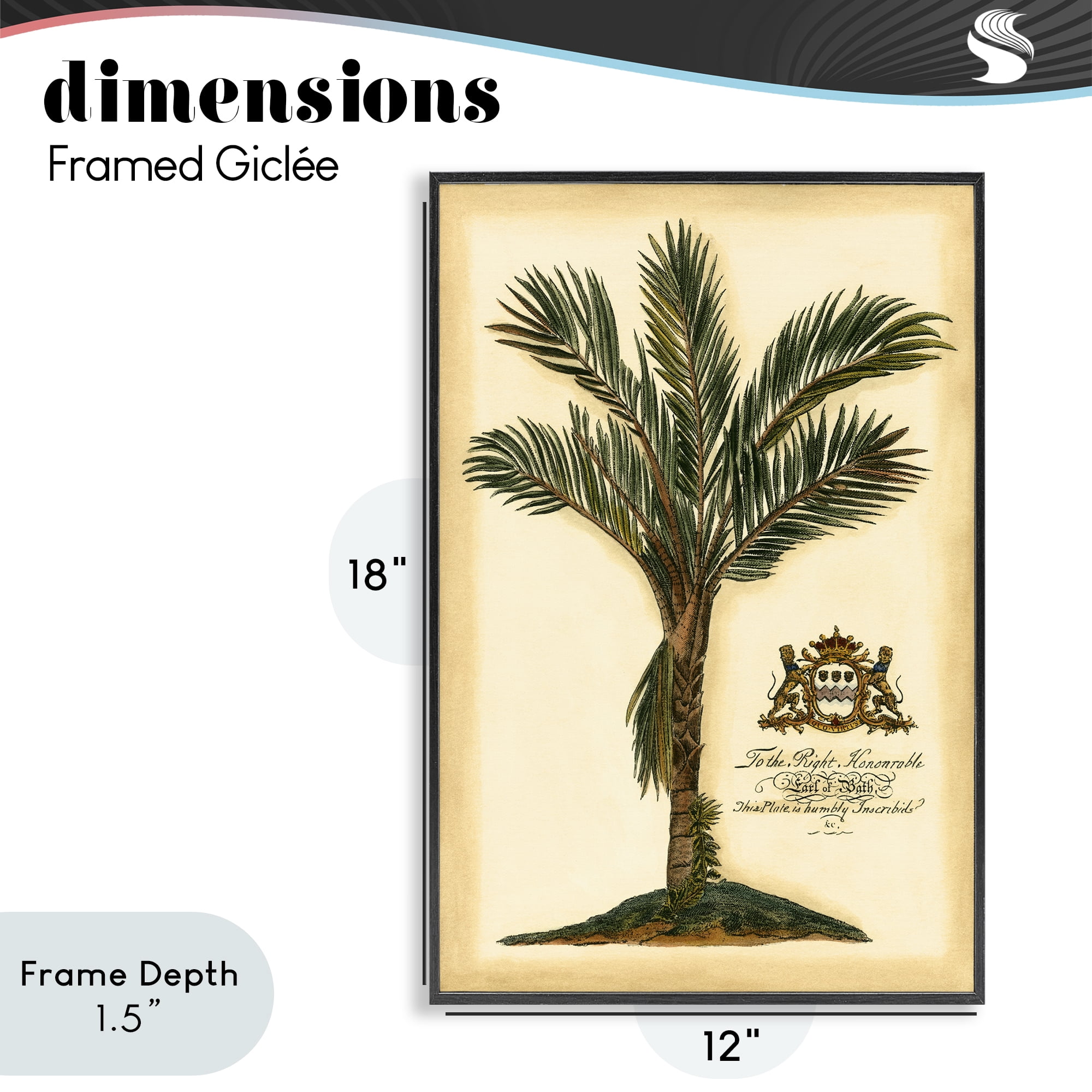 Stupell Industries Vintage Colonial Palm Black Framed Giclee Art, design by Vision Studio