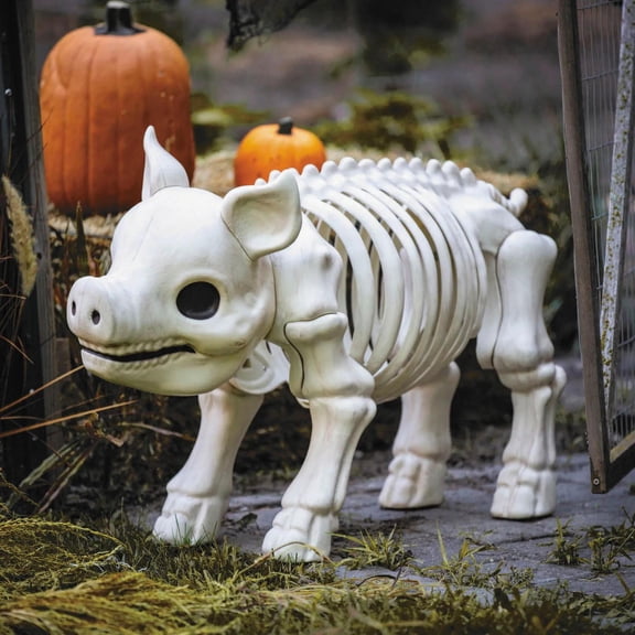 24 1/4" Standing Pig Skeleton Halloween Decoration