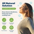 thumbnail image 6 of Kinzua Environmental Urine B-Gone Enzyme Odor Eliminator & Pet Stain Remover, Original Scent, 1 Gallon, 6 of 9