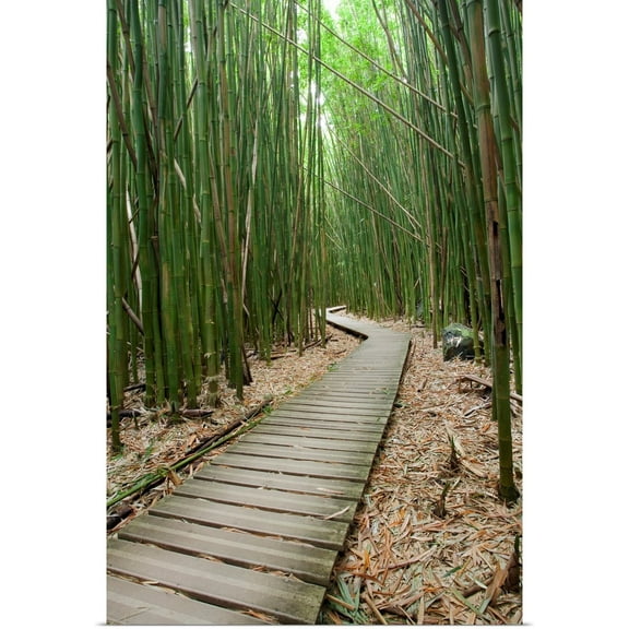 Great BIG Canvas | Rolled Jenna Szerlag Poster Print entitled Hawaii, Maui, Kipahulu, Haleakala National Park, Bamboo Forest On The Pipiwai Trail