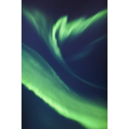 A green northern lights corona in the sky above the tony knowles coastal trail in winterAnchorage alaska united states of america Canvas Art - Kevin Smith Design Pics (12 x 19)