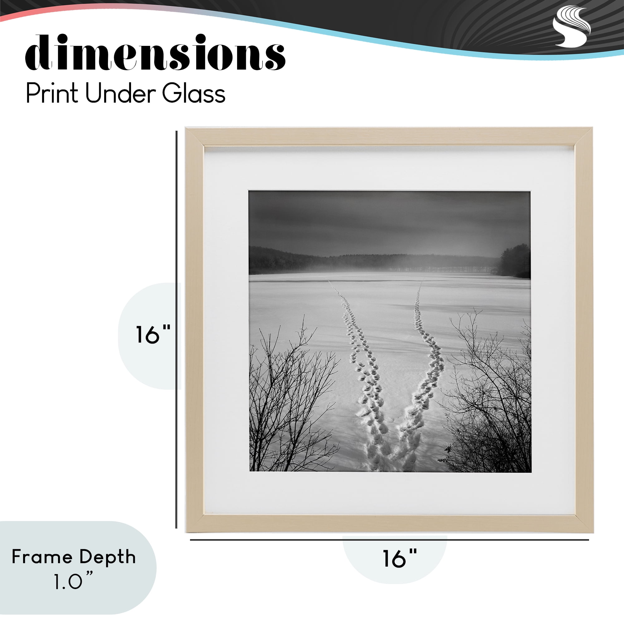 Stupell Industries Snowstep Tracks Across Frozen Lakes Birch Framed Print Under Glass, design by Chip Forelli