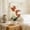 Orange, variant on Orange Phalaenopsis Bonsai Plastic Potted Bendable Faux Orchids Washable Artificial Silk Orchid Phalaenopsis Decor for Home Wedding Table Centerpiece Bathroom Office