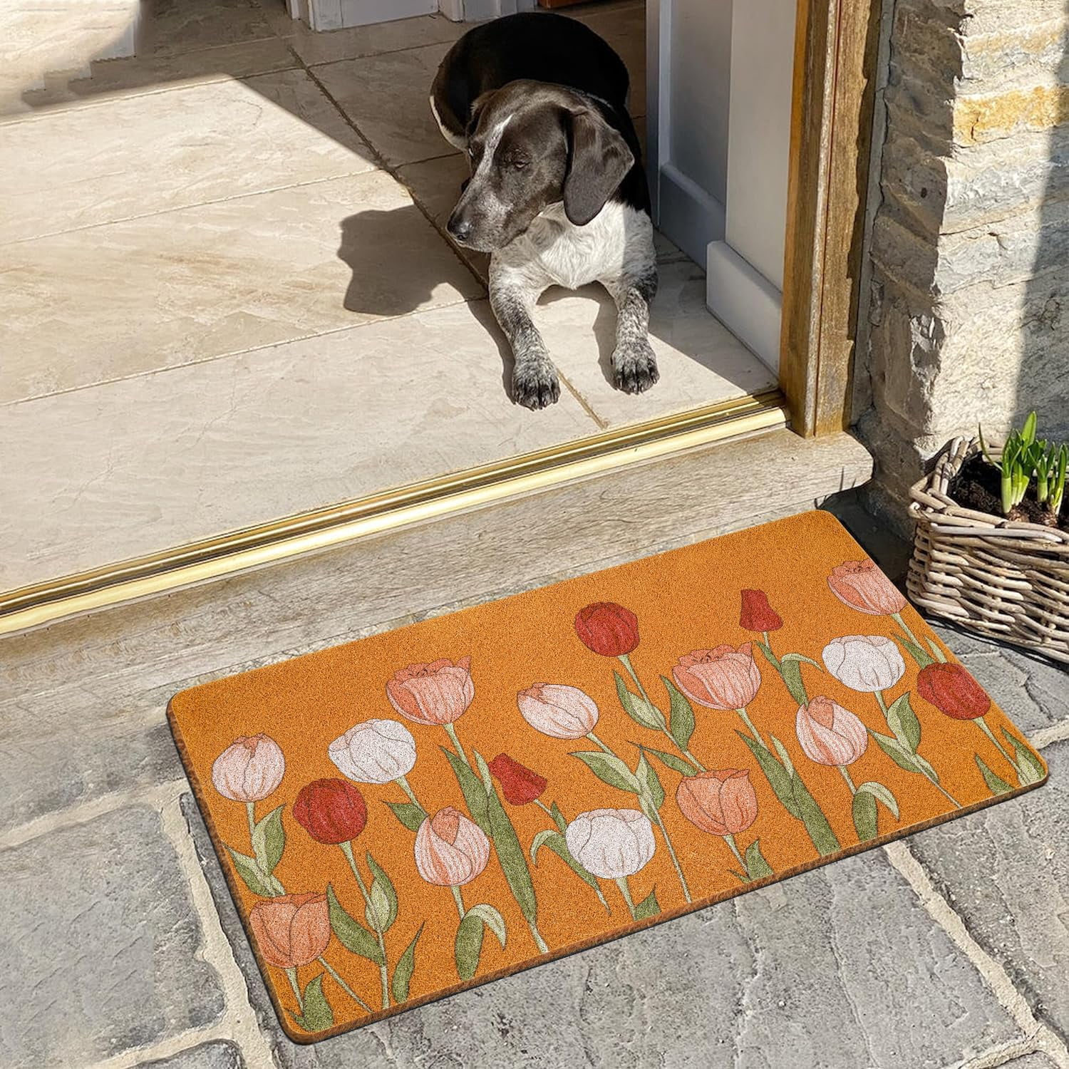 Red Pink White Tulip Coir Door Mat for Front Door, Spring Summer Flower Outdoor Welcome Mats for Entrance,Garden,RV,Patio,Home Porch Decor Doormat 30x17 Inch